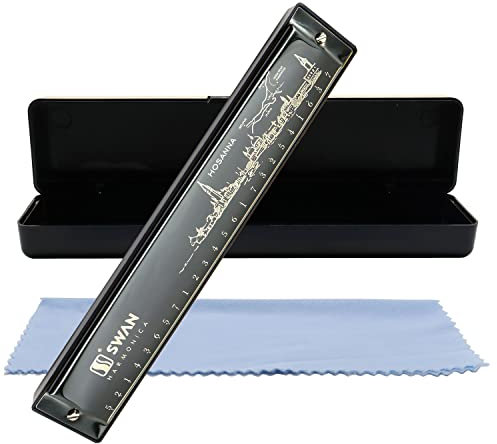 Mundharmonika Armonica Harmonica 24 Loch Tonart C Diatonische Polyphone Blues Mundharmonika Professionelles Musikinstrument für Kinder Erwachsene Anfänger Geschenk