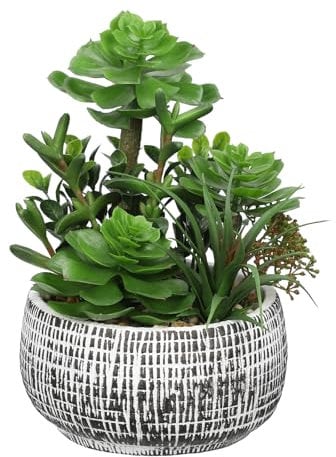 Hollyone Fake Succulents in Cement Pot, Mixed Artificial Succulents Faux Greenery Indoor, Decorative Artificial Plants for Home Decor, Living Room, Bathroom, Kitchen, Shelf, Desk Decorations