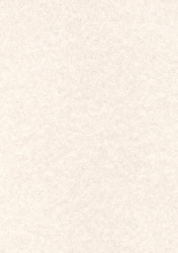 Decadry Briefkopf/95 GSM Präsentation Papier – Warm grau (100 Stück)