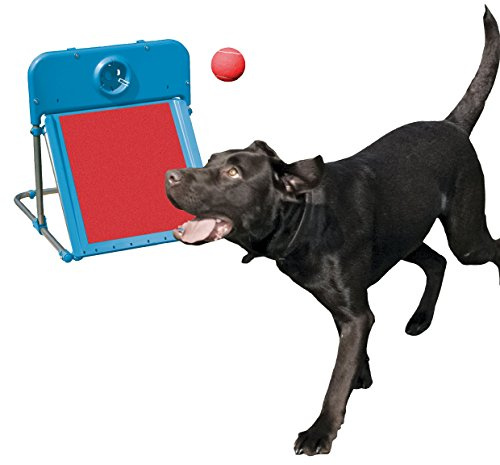 Rosewood Dog Agility Flyball Kit