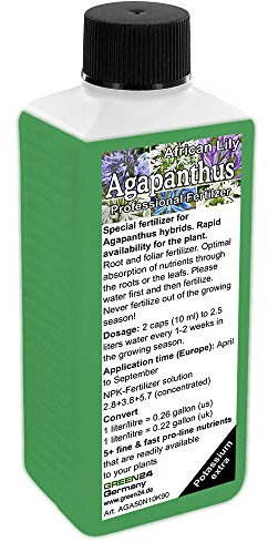 Agapanthus (llily, Lily, Africain de Le Nil) Engrais liquide HIGHTECH NPK, Racine, sol, engrais Foliaire, engrais – prof.