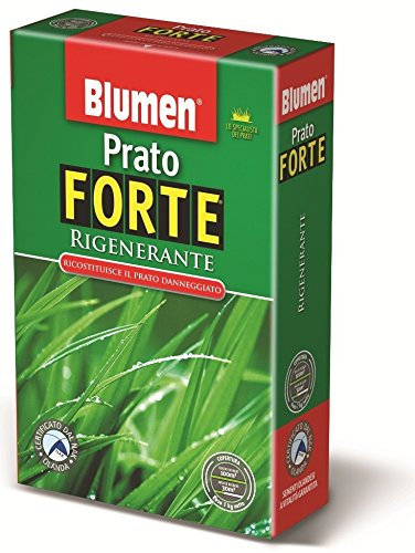 PRATO FORTE RIGENERANTE - SCATOLA DA KG 1