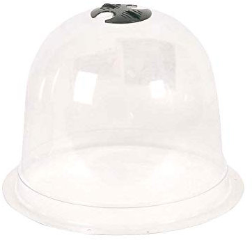 Verdemax Cloche pour Plantes Taille M 26 x 19,5 cm Transparent