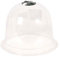 Verdemax Cloche pour Plantes Taille M 26 x 19,5 cm Transparent
