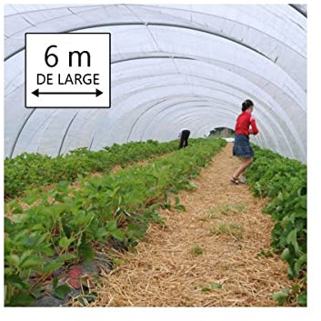 KALEMBAL Bâche Serre 6x7 m - Translucide - Très résistante - Etanche - Anti-UV - Fabrication française