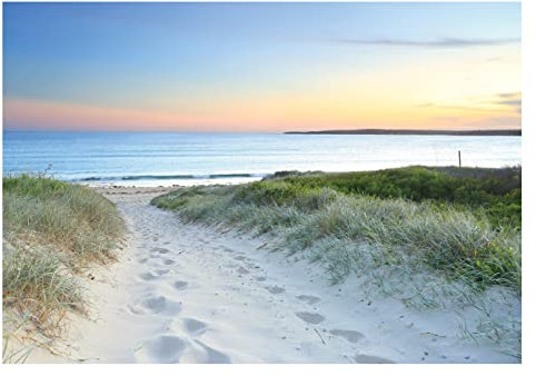 WallArena - Vlies Fototapete Strand Meer 3D Effekt Dünen Nordsee Natur 254x184 cm - Fototapeten - Tapeten - für Wohnzimmer Schlafzimmer - Vliestapete Wandtapete Tapete 3D Effekt- inkl. Kleister