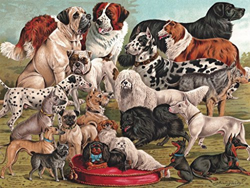 New York Puzzle Company Dog Breeds (1000 pcs)