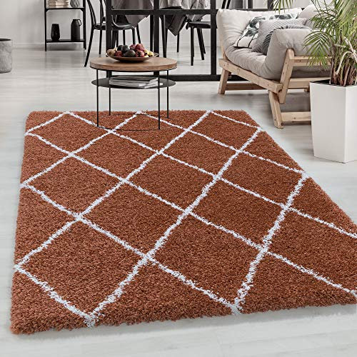 Carpetsale24 Hochflor Teppich Terrakotta 240x340 cm Rauten Design Flauschig- Langflor Wohnzimmerteppich Skandinavischer Stil Shaggy großer Teppich
