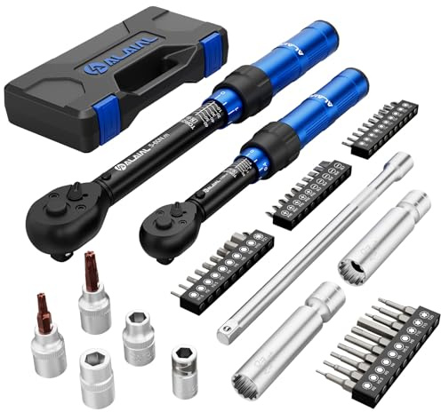 ALAIAL Chiave Dinamometrica 1/4 & 3/8, 3-25Nm, 5-60Nm, 50 Pezzi Chiave Dinamometrica Set con 250mm Barra di Prolunga, Presa Magnetica per Candele, Torx e Presa per Bici, Auto, Moto