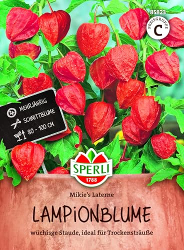 Sperli Lampionblumensamen Mikie's Laterne 85823, Blumensaat | Herbstliche Dekoration und dekorative Trockensträuße