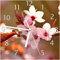 Wallario Design-Wanduhr Frühlingsgefühle II - Kirschblüten in Nahaufnahme aus Glas, Motiv-Uhr Größe 20 x 20 cm, weiße Zeiger