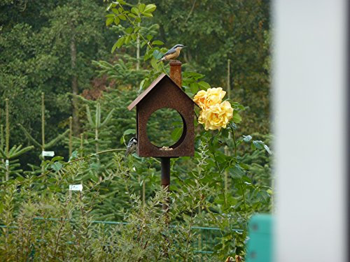 Albert Hechinger Edelrost Vogelhaus Villa Birdy