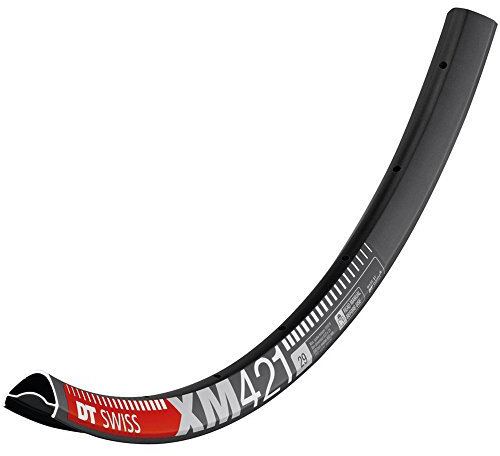 DT Swiss Felge XM 421 29Zoll 622x25mm VL 6,5mm 28Loch