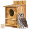 Screech Owl House, Owl Bird Box Large Handmade Wooden Circular Opening Screech Box for Outside with Mounting Screws and A Bag of Wood Spänes, Easy Assembly Required (Brown, 22.9 cm x 36.8 cm)