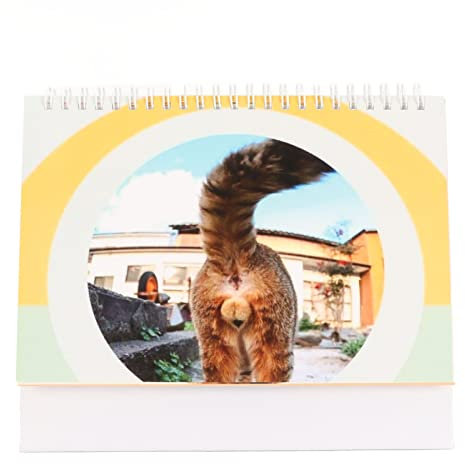 Katzen-Hintern-Kalender 2023, 12 Monate, dekorativer, lustiger Tischkalender mit stabilem Metall-Haltering, einzigartige Katzenliebhaber, verleiht dem Büro, Schlafzimmer und
