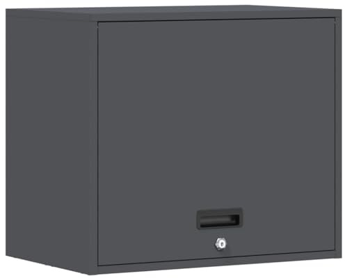 Tomostar Armoire Murale de Rangement Garage, Armoire Suspendue à Outils en Métal pour Atelier Garage Anthracite 60x40x53 cm