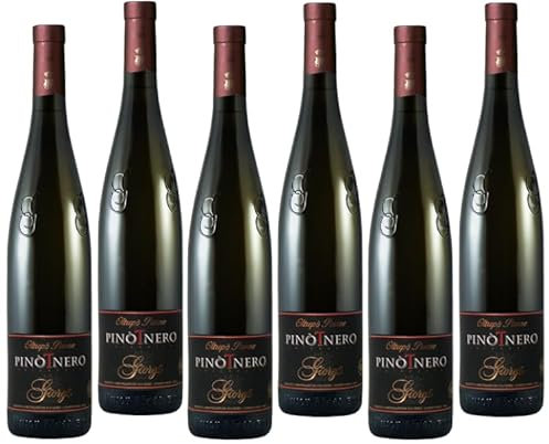 GIORGI PINOT NERO ROSATO VINO FRIZZANTE OLTREPO' PAVESE DOC 75 CL 6 BOTTIGLIE