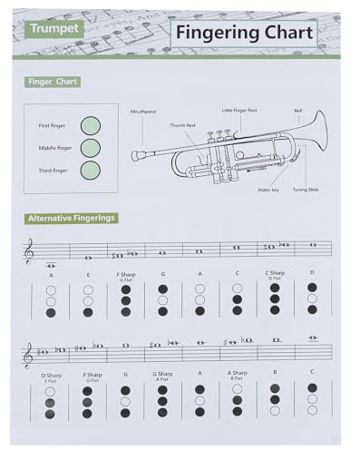 GARVALON Wandplakat Zufällige Farbe Trompetenakkord aus Beschichtetem Papier mit Kreativem Design mit Klaren Noten und Einfachem Ablesen für Anfänger und Musiker