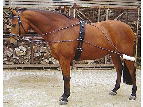Harry's Horse Longeerhulpteugel | Farbe: 0 , Größe: Full