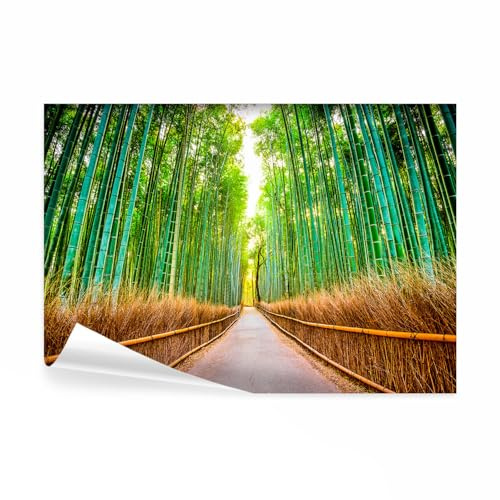 decomonkey Fototapete selbstklebend Wald Bambus, 245x175 cm, XL, Allee | Natur, Selbstklebende, Tapeten, Wand, Fototapeten, Tapete, Wandtapete, klebend, Klebefolie