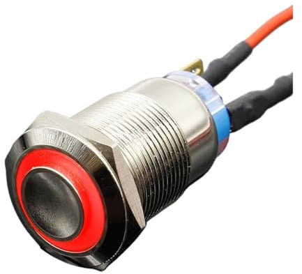 19mm impermeabile momentaneo chiusura in acciaio inossidabile campanello in metallo campanello a pulsante interruttore a pulsante LED PC motore automatico for auto(Red,MOMENTARY_12V)