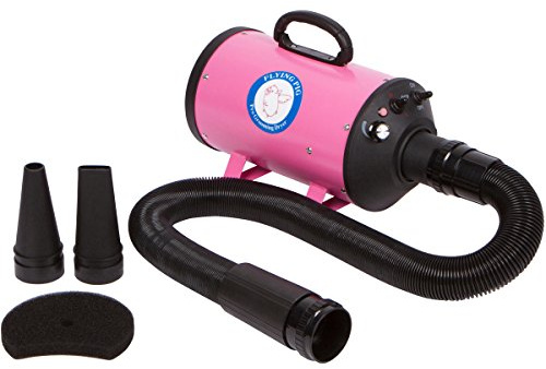 Pink Master Séchoir de toilettage pour animal domestique 2 niveaux Vitesse du vent et température de chaleur réglable