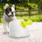 ALL FOR PAWS Automatischer Ballwerfer für Hunde, Hunde Ball Interaktive Ballwurfmaschine 3Pcs 2 Tennisbällen Inklusive, für Kleine und mittlere Hunde, Interaktives Hundespielzeug
