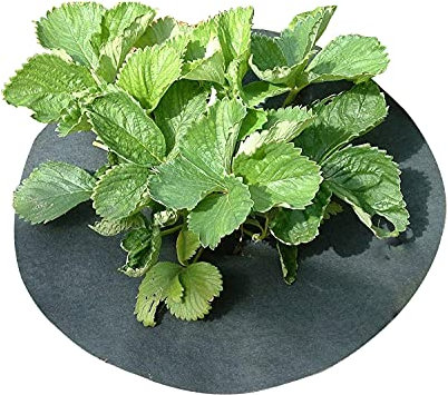 Gardening Naturally Strawberry Mulch Mats for Strawberry Plants Keep Slugs & Snails and Weeds Away Copper Impregnated 15 (38cm) Diameter (6)
