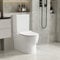 Robanmoa Modern Close Coupled Toilet Back to Wall Bathroom Toilets White Ceramic WC Pan with UF Soft Close Seat Dual Flush Cistern Oval Style Elegant Comfort Elongated Toilet