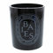 Diptyque - Bougie 300 Gr Baies