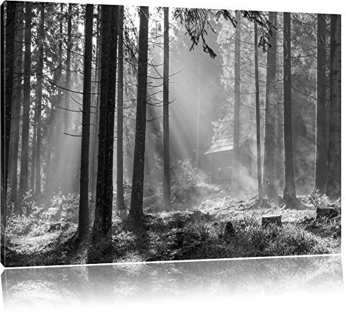 Pixxprint Häuschen im Wald mit Sonnenstrahlen B&W, Größe: 100x70cm, Leinwandbild, fertig gespannt, Wandbild, Dekoration, Kunstdruck, kein Poster