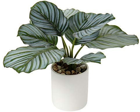 Briful Künstliche Pflanzen Kunstpflanze Unechte Pflanzen Tropische Zimmerpflanze Faux Monstera im Topf für Hausgarten Büro Schreibtisch Duschraum Dekoration