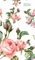 Ladytimer Slim Roses 2024 - Taschen-Kalender 9x15,6 cm - Rosen - Weekly - 128 Seiten - Notiz-Buch - Alpha Edition