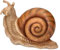 Figuren Shop GmbH Schnecke Gartenfigur: Weinbergschnecke 22,5 cm - Handbemalt, Wetterfeste Deko, HotAnt
