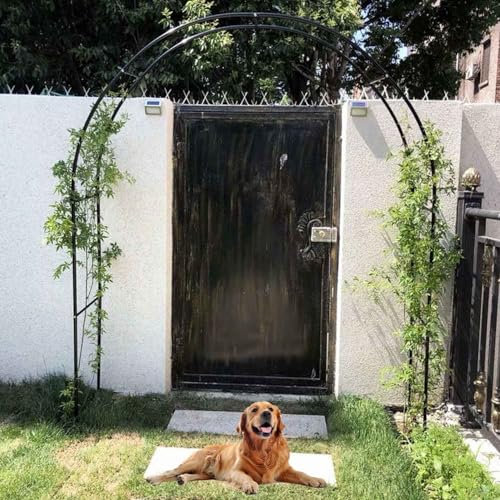 Rosenbögen Gartenbogen für Kletterpflanzen 120/140/200/240/300cm Spalier Torbogen Rankhilfe Hochzeit Rankgitter Bogen Party Dekoration(140x230cm)