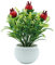 KingbeefLIU Künstliche Erdbeer Pilz Obstbaum Pflanze Bonsai Wohnzimmer Garten Dekor Perfekte Dekorative Blume Hochzeit Landschaftsbau Wohnzimmer Blumenschmuck *Granatapfel