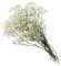 GRIRIW Ramo De Flores Secas De Gypsophila Preservada Decoración Creativa para Hogar Bodas y Eventos Especiales Diseño Romántico Color Blanco