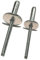 Großkopf Blindnieten Alu/Stahl Ø 3,2 4,0 4,8-100er Pack - alle Länge K9,5/K12/K14/K16 (4,8x21 Kopf 16)