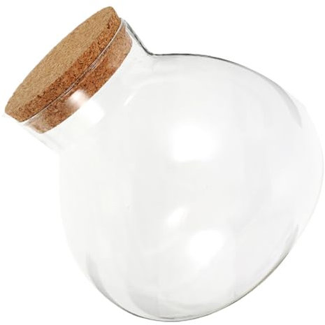 Vaso in vetro, micro bottiglia paesaggistica, con tappo rotondo in sughero, terrario per piante grasse, per decorare casa e ufficio