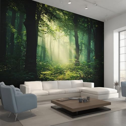 Photo Wallpaper Nature Forest Decorative - Sunlight Forest Jungle Wallpaper for Living Room Bedroom, Non-Woven Wall Mural TV Background Decor, 350x256 cm saf-9