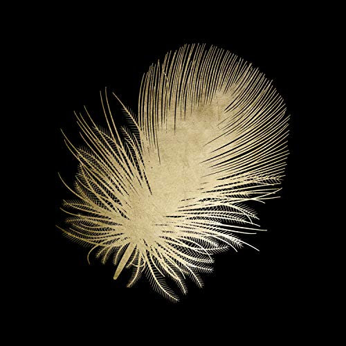 Queence | Acrylglasbild mit Blattgold | Wandbild Glasbild Acrylbild Rahmenlos | Feder | Druck auf Acrylglas | Goldveredelung | Größe: 50x50 cm