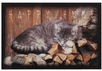 oKu-Tex Design Fußmatte Happy Home schlafende Katze, lustiges & niedliches Motiv, rutschfest & waschbar, Deko Dekorativ, grau, 40 x 60 cm