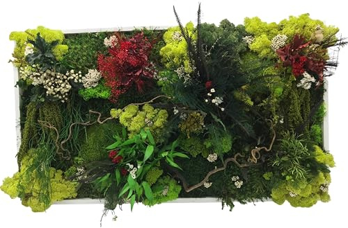 Tableau Vegetal Stabilisé