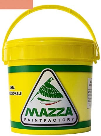 MAZZA Pittura Al Quarzo Per Muri Interni Ed Esterni Lt 14 Ad Alto Potere Coprente Colorificio (Salmone2 Mz1165)