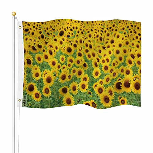 Yekiua Sonnenblumenfeldflagge, 91 x 152 cm, Outdoor-Retro-Blüte, Blumen, Sonnenlicht, Herbst, Sommer, Frühling, Premium, stärkste, langlebige Flagge, lebendige Farben mit Messingösen, Grün / Gelb