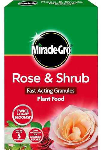 AMK® Miracle Gro Rose & Shrub Fast Acting Feed Granules 3kg Plant Food Plants Fertiliser Continuous Release Nutrition