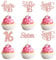 30Pcs 16th Birthday Cupcake Toppers Sixteen Happy 16th Cupcake Picks Cheers to 16 Sweet 16 Cake Decorations for 16th Birthday Anniversary Party Supplies Rose Gold Glitter