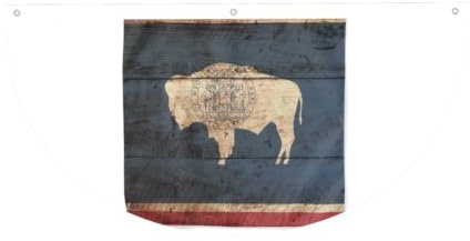 Wyoming Bandiera dello Stato Mappa Stampa Bandiera Semicircolare Leggero Bandiera Esterna Banner Decorazioni per feste