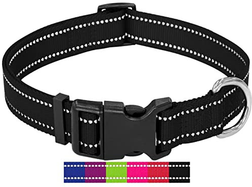 DEY - Premium Hundehalsband Nylon, Reflektierend, Verstellbar, für Kleine u. Große Hunde, viele Farben u. Größen, Hund Welpe, Hunde-Halsbänder, Katzen-Halsband, Welpen-Halsband, Schwarz, XS