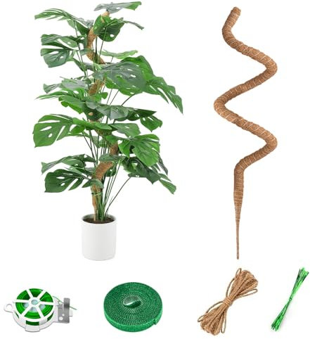 125CM Palo del Muschio per la Pianta,Bastone di Muschio Pieghevole,Porta Piante Rampicanti per Piante da Interno con Velcro e Spago(1×125CM)
